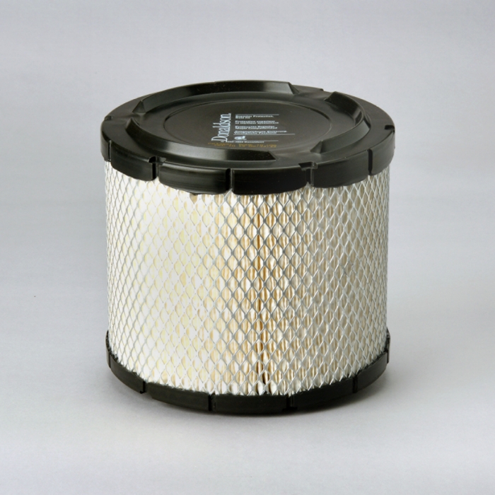 FILTRO DE AIRE DONALDSON (AF25281)