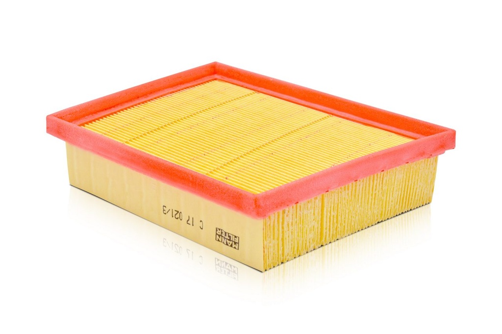 FILTRO DE AIRE MANN C17021/3 (FAP9296) 