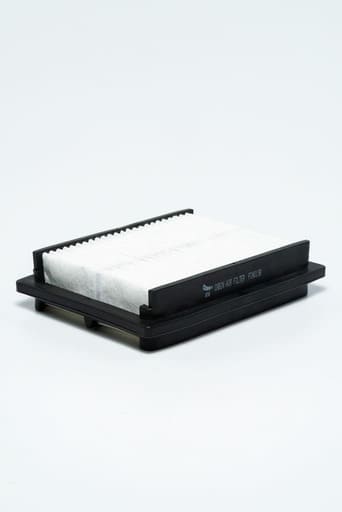 FILTRO POLEN KTN (P500138)(PA5328)(AF25573)