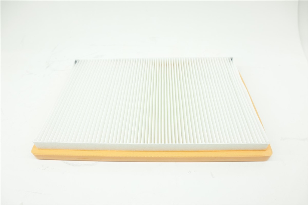 FILTRO CABINA (H906248900)