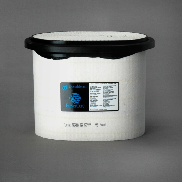 FILTRO DE AIRE 1º DONALDSON (2934053)