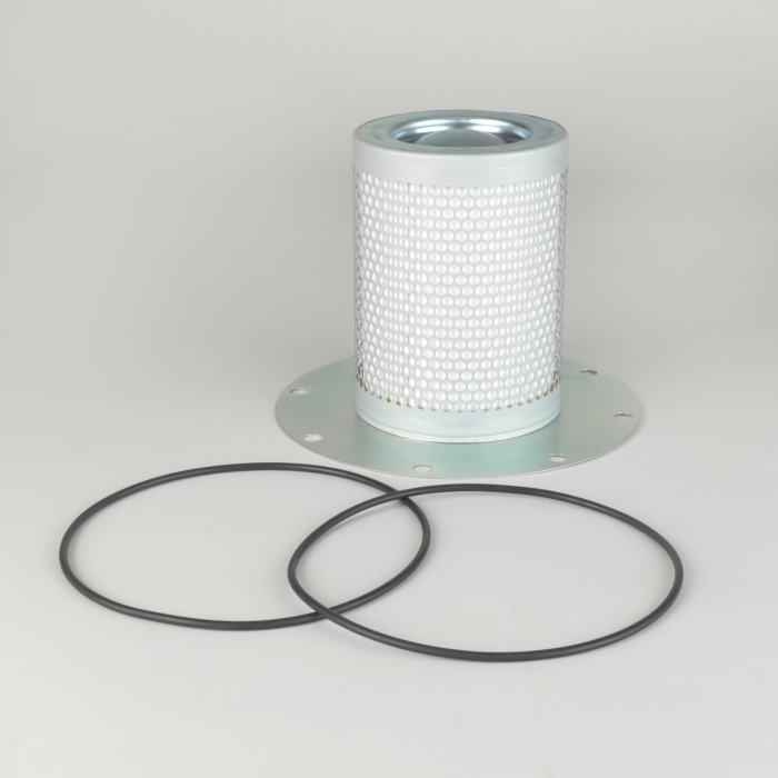 FILTRO AIRE 1° DONALDSON (1613688000)