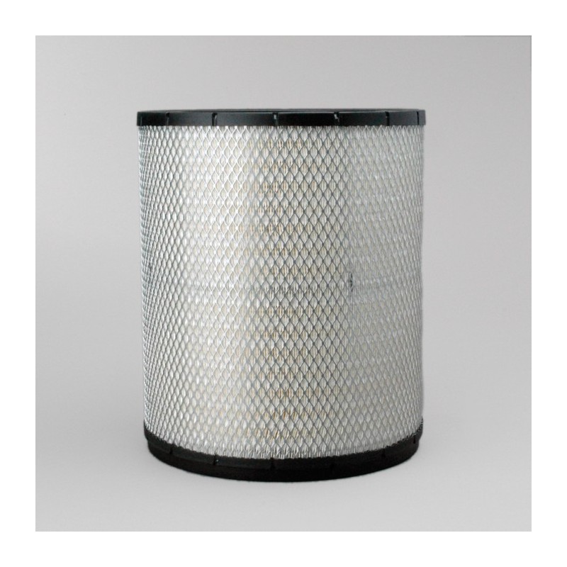 AIR FILTER P181118