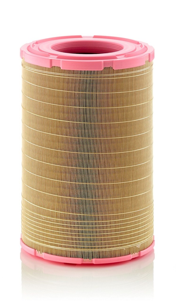 FILTRO DE AIRE MANN (P532503)(AF25129M)(C281045/2)