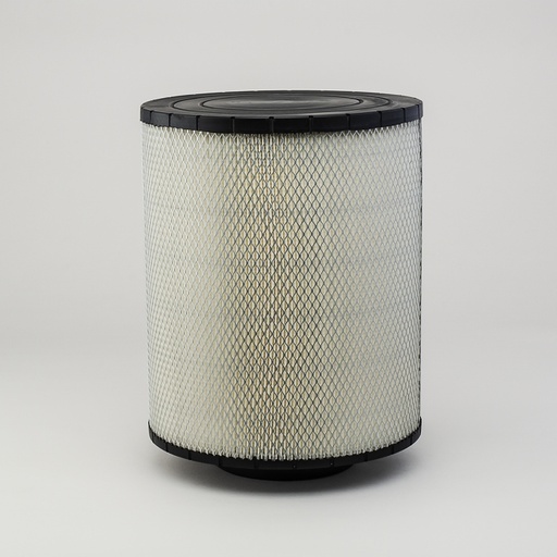 [B125003] FILTRO AIRE DONALDSON (AH19042)