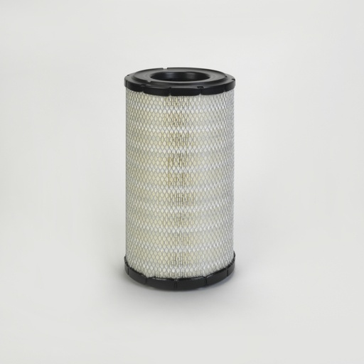 [P781678] FILTRO AIRE 1° (C21584)(P781678)