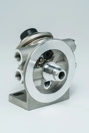 [BAS2207] FILTRO COMBUSTIBLE (P551858)