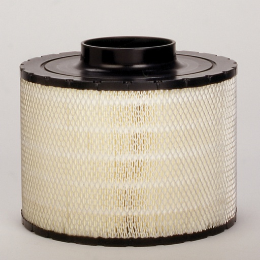 [B125011] FILTRO AIRE DONALDSON