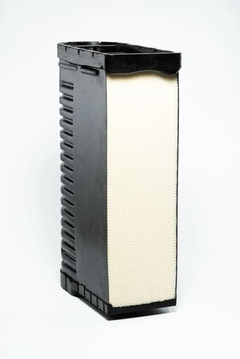 [FAI6844] FILTRO AIRE 1° (5771436)(P635784)