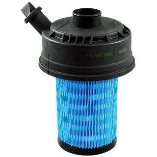 [TR25119] FILTRO DE AIRE TURBO (P953446)(119300)