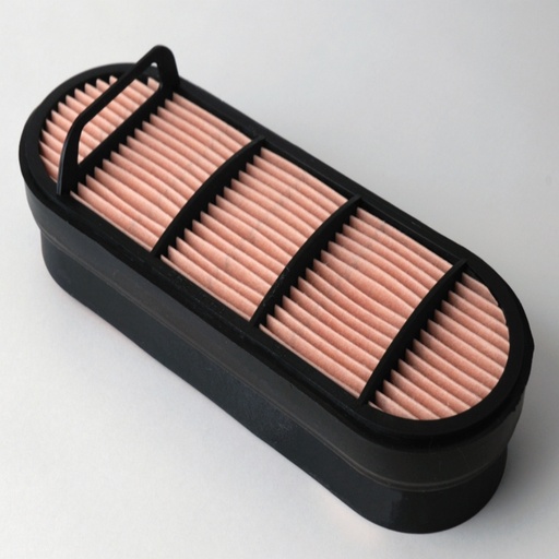 [P606121] FILTRO AIRE SEGURIDAD DONALDSON (AL150288)(3212412)
