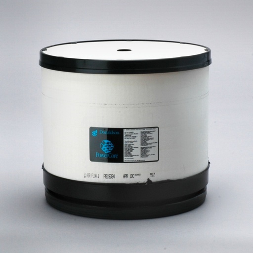 [P619334] FILTRO AIRE DONALDSON